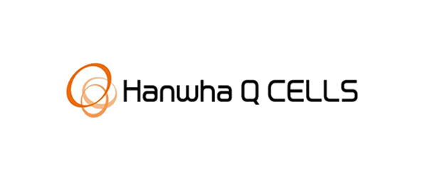合作伙伴十一